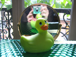 canard.jpg