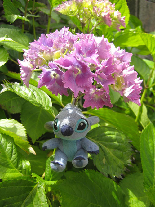 stitch-hortensias.jpg