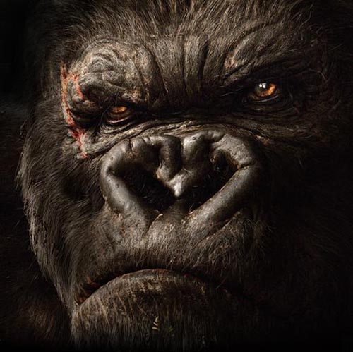 king-kong.jpg