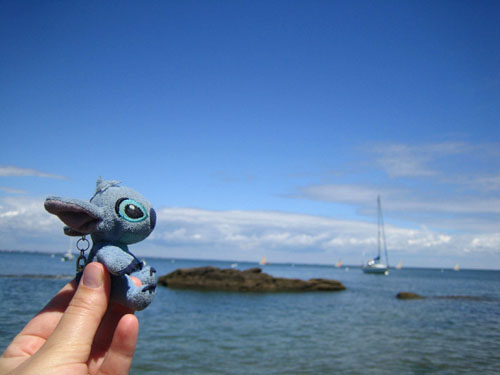 stitch-a-noirmoumoute-1.jpg