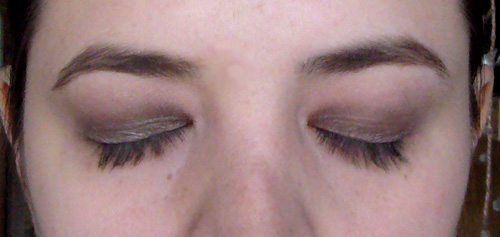 lytanie-brun-ouvert-1 lytanie-brun-ouvert-1