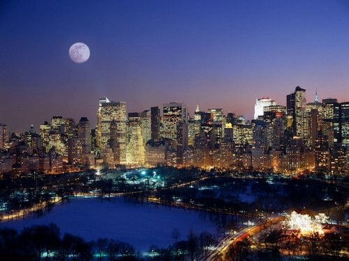 new-york new-york