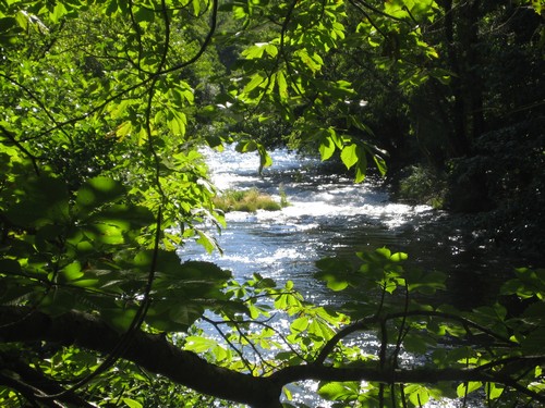 avene juillet 2010 102