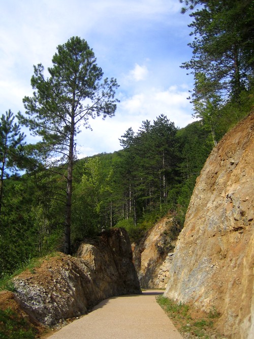 avene juillet 2010 183