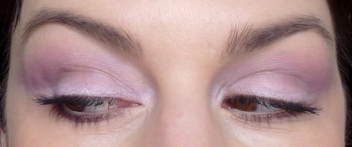 illamasqua toxic nature 4