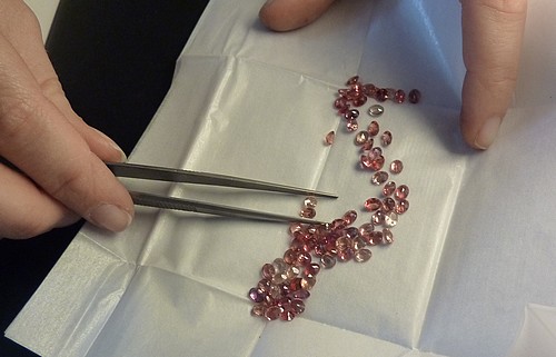 panzavolta-saphirs-roses