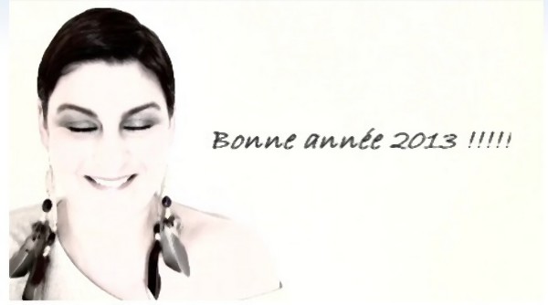 bonne année 2013
