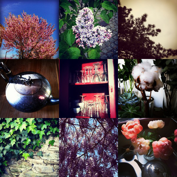 what you dont see 20