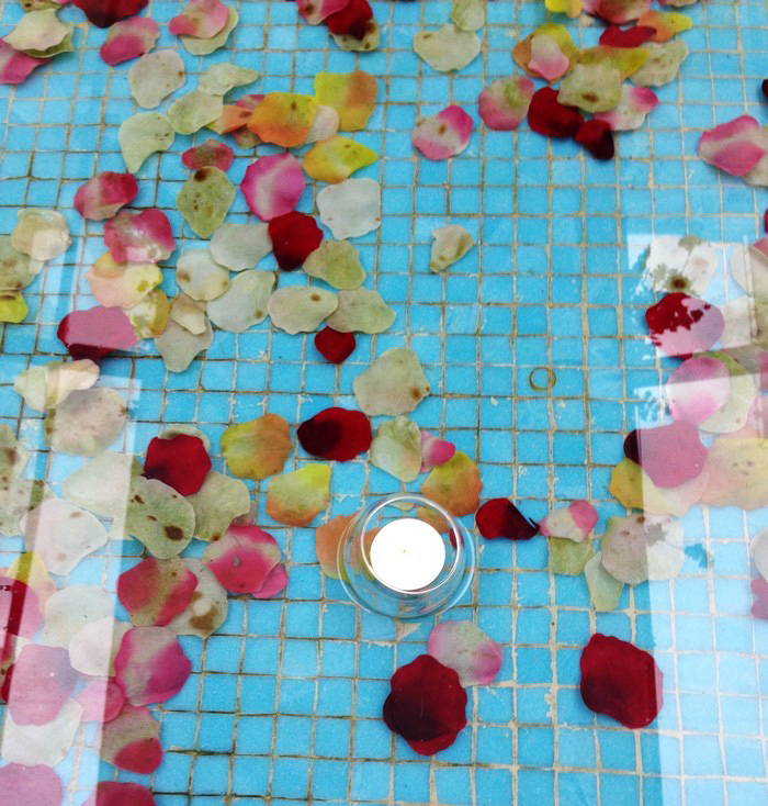 jardin_hiver_westin_2