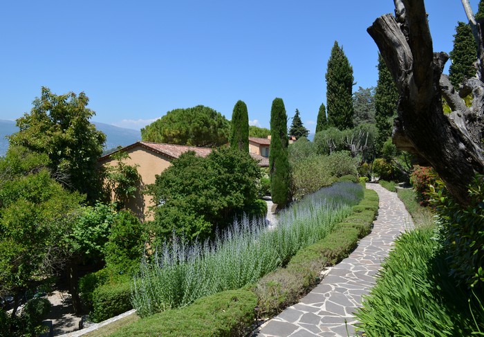 nouveaux_solaires_shiseido_wetforce 1