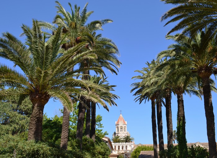 nouveaux_solaires_shiseido_wetforce 6