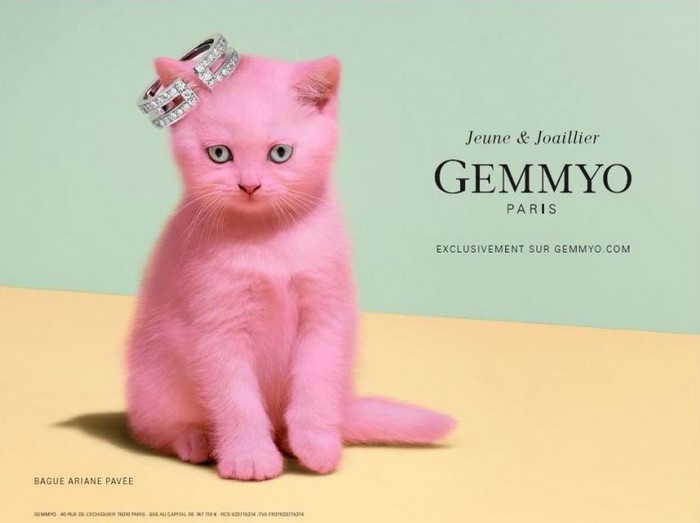 Gemmyo mini lady best sale