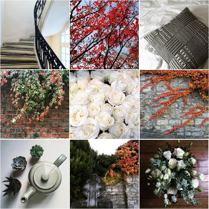 waht you dont see 57