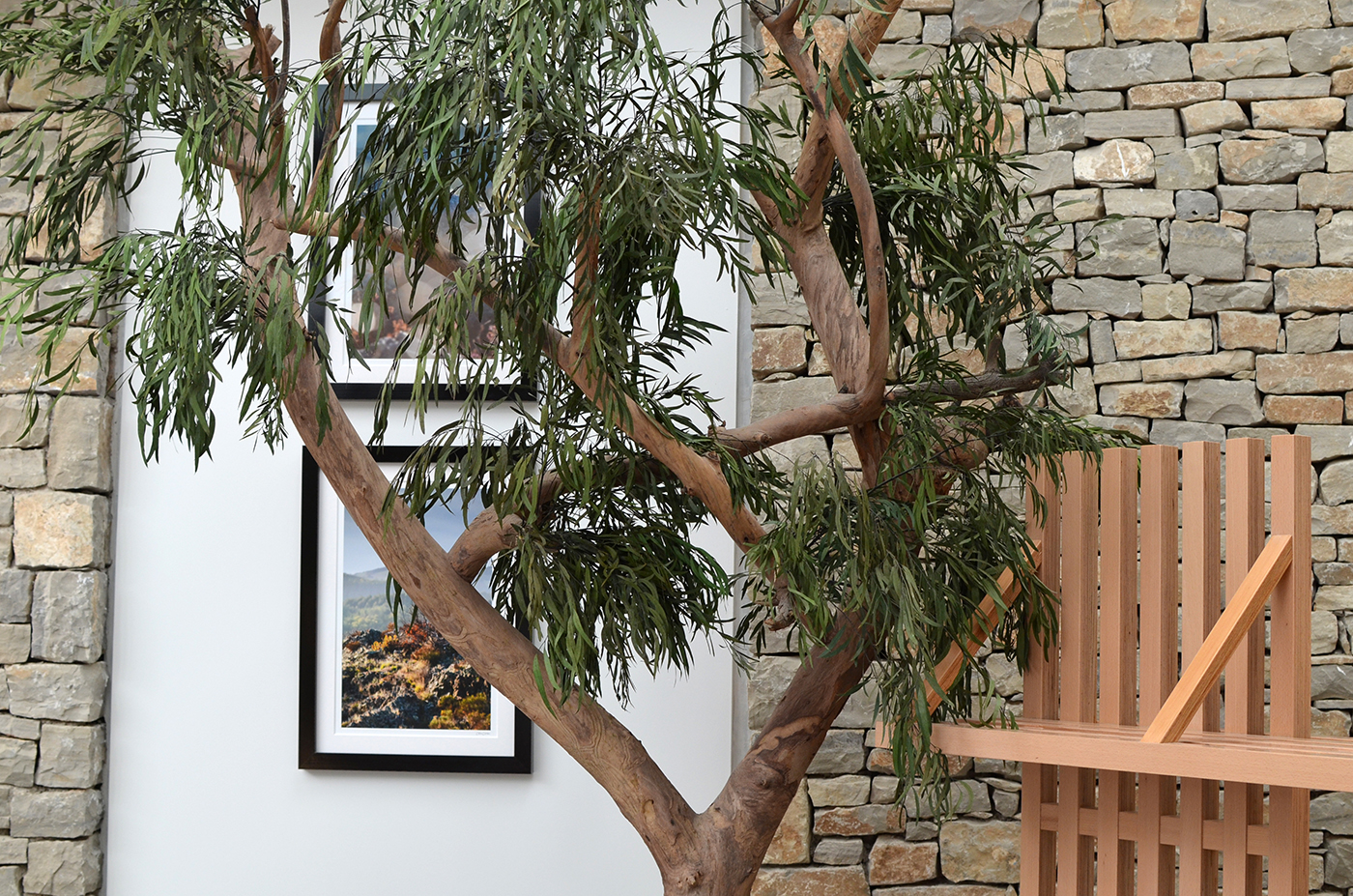 nouvel_hotel_avene10