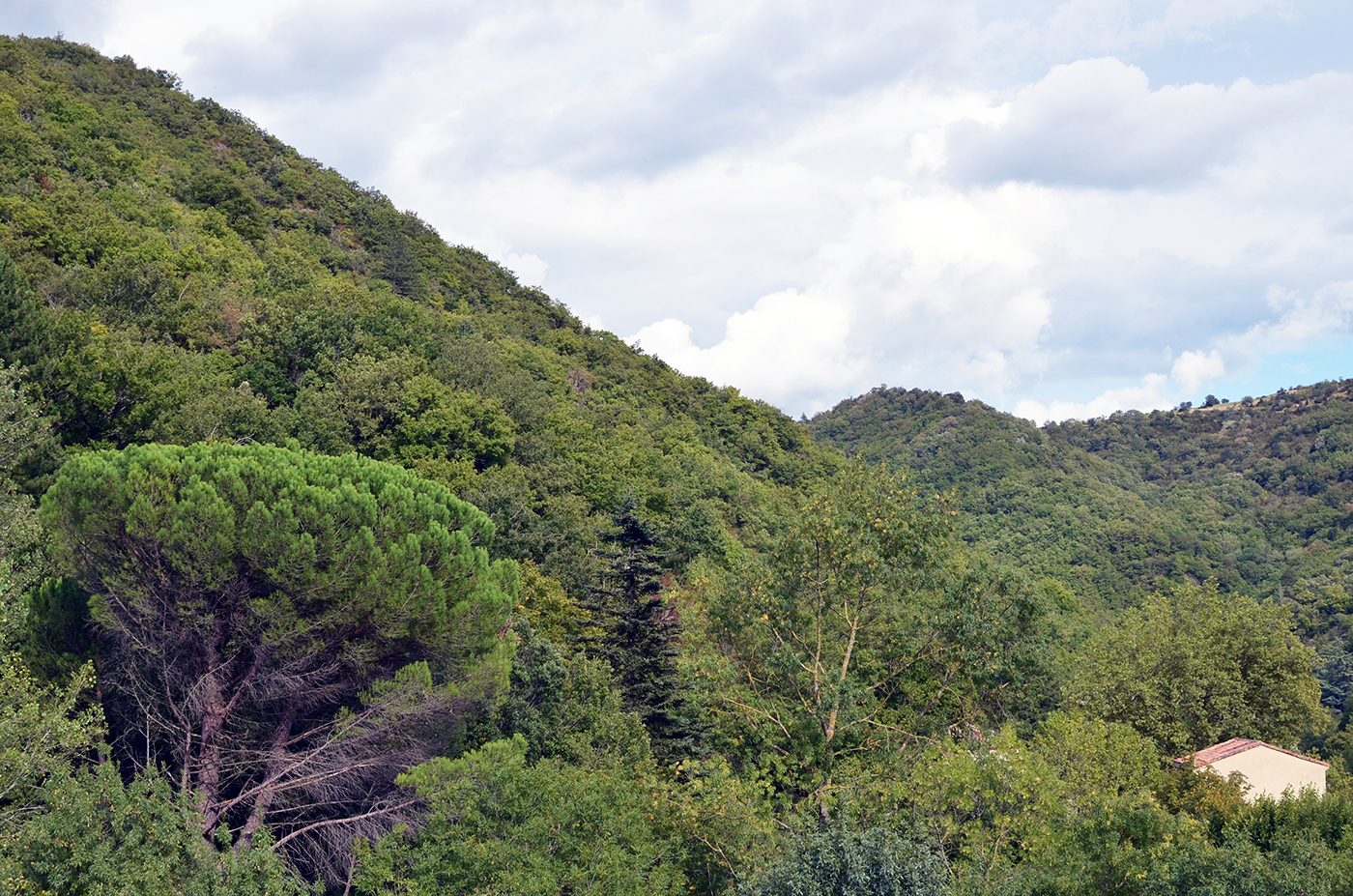 nouvel_hotel_avene12