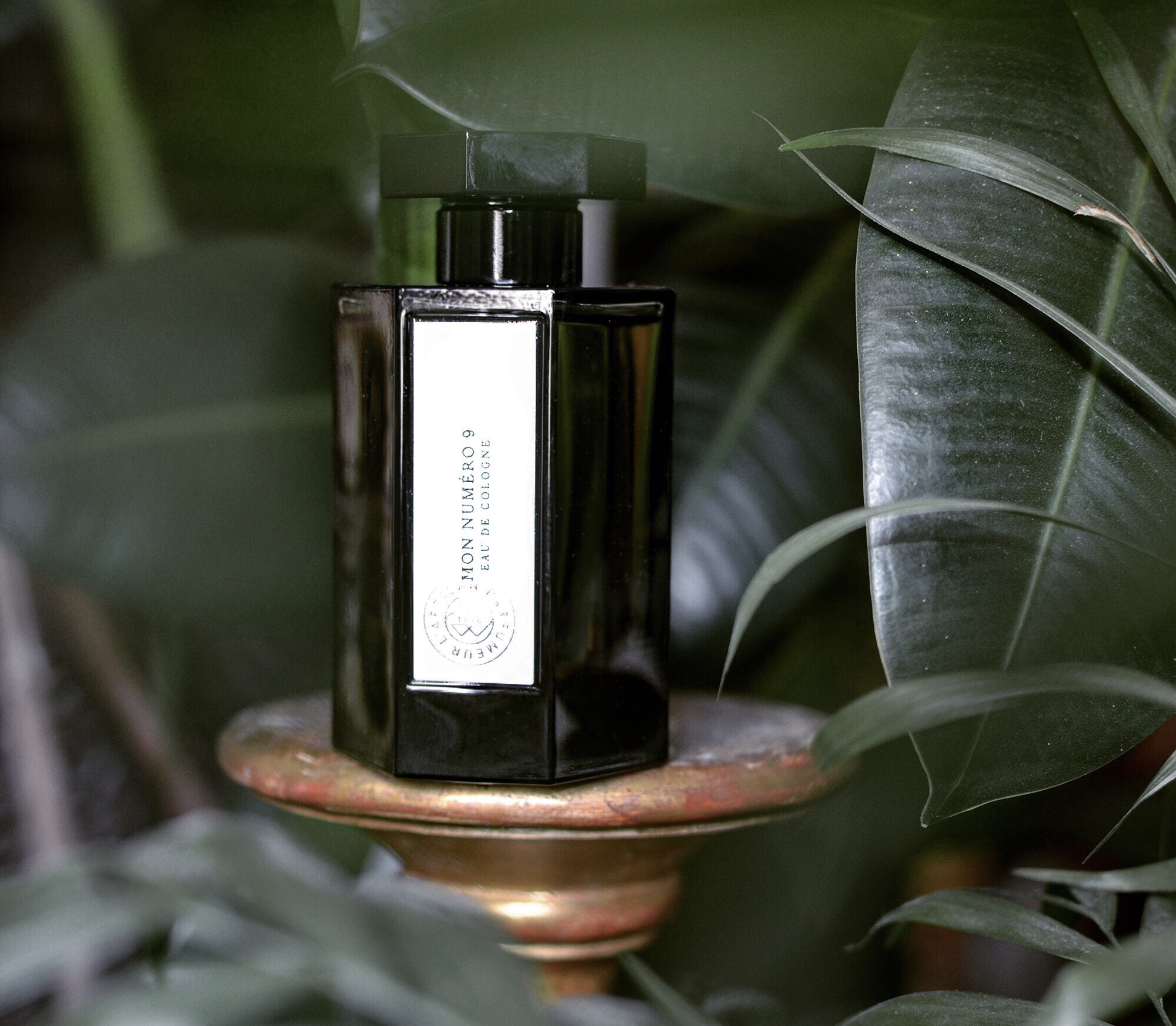 premier figuier artisan parfumeur avis