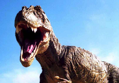 http://www.monblogdefille.com/blog/wp-content/uploads/2008/09/tyrannosaure.jpg