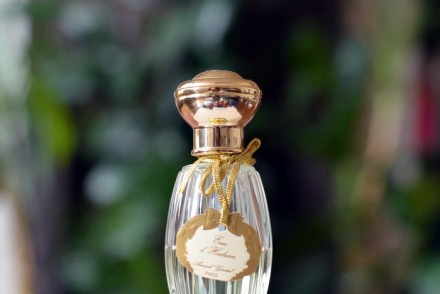 eau du sud annick goutal avis